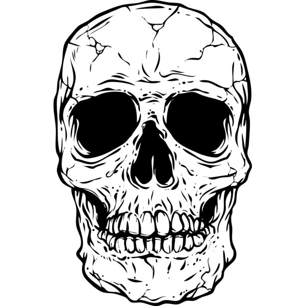 Skull Thumbnail