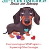 All4Dachshunds Thumbnail